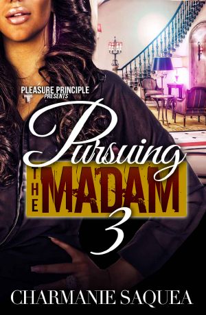 [Pursuing The Madam 03] • Pursuing The Madam 3